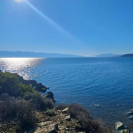 بيت للعطل Venia House